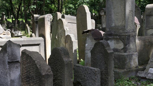 Wycieczka do Tarnowa | 3