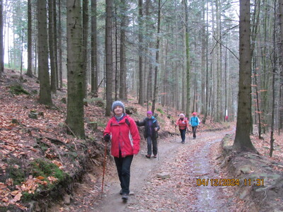 Chatka pod Potrójną 04 Grudzień 2024 r. | 5