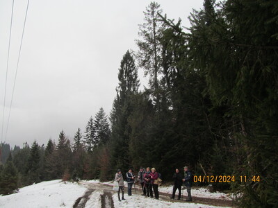 Chatka pod Potrójną 04 Grudzień 2024 r. | 3