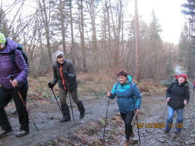 Leskowiec 18 Grudzień 2024 r. | 1