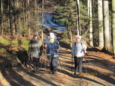 Potrójna 27 Grudzień 2024 r. Sekcja turystyczna | 4