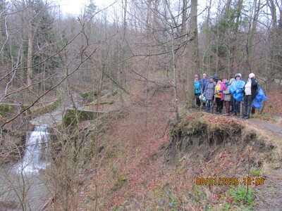 Zapora Wapiennica - Dębowiec 08 Styczeń 2025 r. | 8