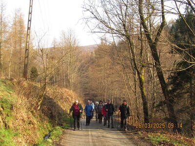 Krokusy Targoszów 26 Marzec 2025 r- turystyka | 17