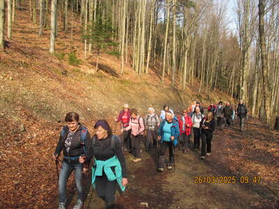 Krokusy Targoszów 26 Marzec 2025 r- turystyka | 16