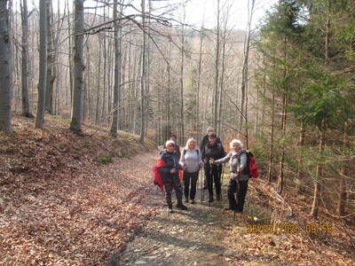 Krokusy Targoszów 26 Marzec 2025 r- turystyka | 15
