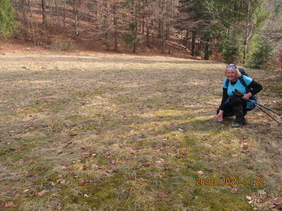 Krokusy Targoszów 26 Marzec 2025 r- turystyka | 10