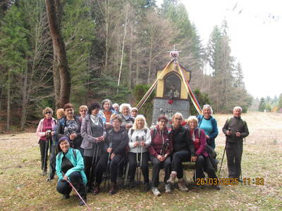 Krokusy Targoszów 26 Marzec 2025 r- turystyka | 9