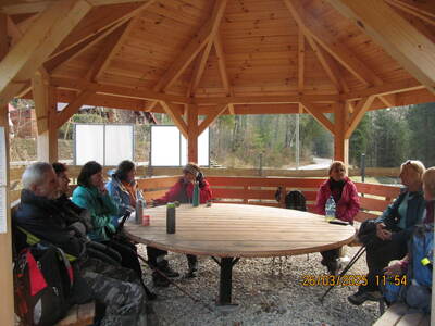 Krokusy Targoszów 26 Marzec 2025 r- turystyka | 2