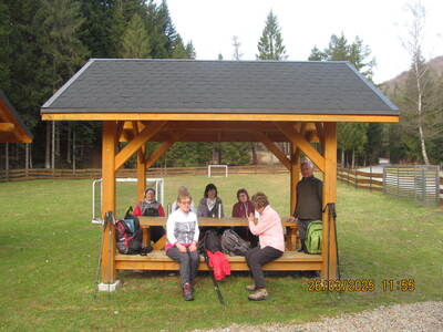 Krokusy Targoszów 26 Marzec 2025 r- turystyka | 4