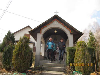 Krokusy Targoszów 26 Marzec 2025 r- turystyka | 5