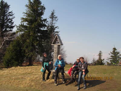 Krokusy Targoszów 26 Marzec 2025 r- turystyka | 1