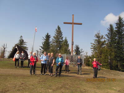 Krokusy Targoszów 26 Marzec 2025 r- turystyka | 1