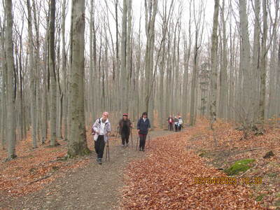 Środa 02.04.2025 – Jaroszowicka Góra - | 2