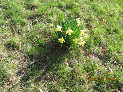 Zagórnik Wapiennik 09 Kwiecień 2025 r. - turystyka | 4