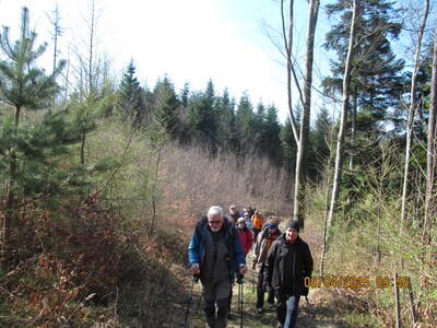 Zagórnik Wapiennik 09 Kwiecień 2025 r. - turystyka | 17