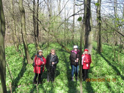 Zagórnik Wapiennik 09 Kwiecień 2025 r. - turystyka | 7