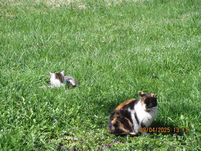 Zagórnik Wapiennik 09 Kwiecień 2025 r. - turystyka | 4