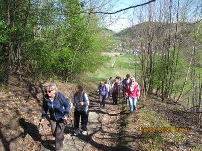 wycieczka turystyczna – Wzgórze Miłosierdzia i Łupki Wierzowskie | 10
