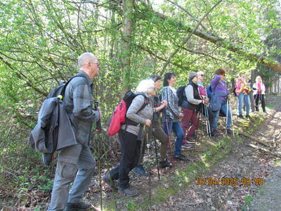 wycieczka turystyczna – Wzgórze Miłosierdzia i Łupki Wierzowskie | 2