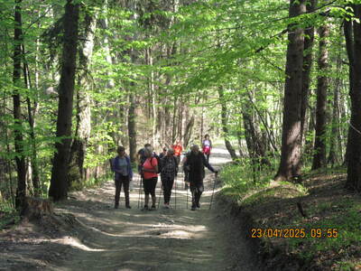 Spacer po Beskidzie Małym Potrójna | 1