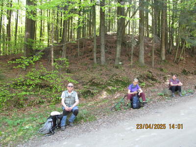 Spacer po Beskidzie Małym Potrójna | 4