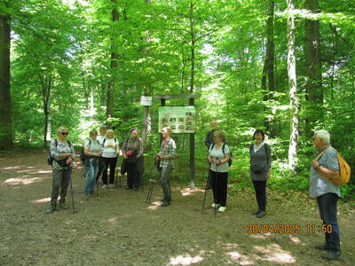 Środa 30.04.2025 – Kraków – Kopiec Piłsudzkiego i Kościuszki | 6