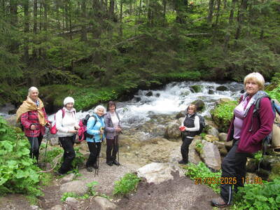 Nosal – Dolina Olczyska – Jaszczurówka 21 maja 2025 r. Wycieczka | 4