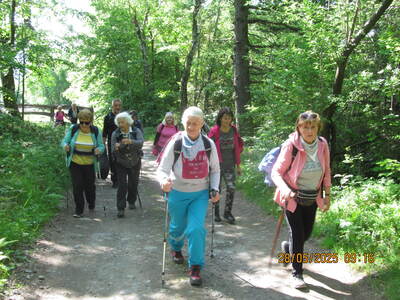 Spacer po Beskidzie Małym Trzonka 28 Maj 2025 r. -;wycieczka turystyczna | 22