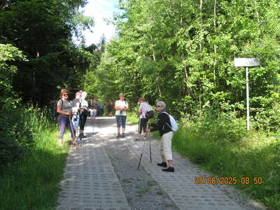 Trzonka 25 Czerwiec 2025 r. - grupa turystyczna | 7