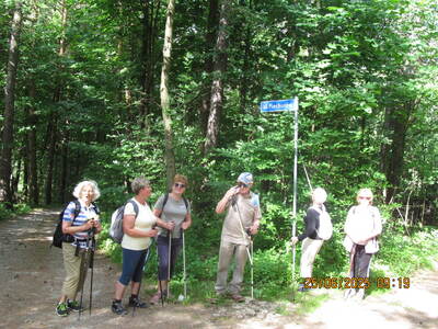 Trzonka 25 Czerwiec 2025 r. - grupa turystyczna | 3
