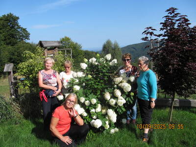 Spacer po Beskidzie Małym Klimoska - Potrójna. | 17