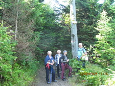 Spacer po Beskidzie Małym Klimoska - Potrójna. | 7