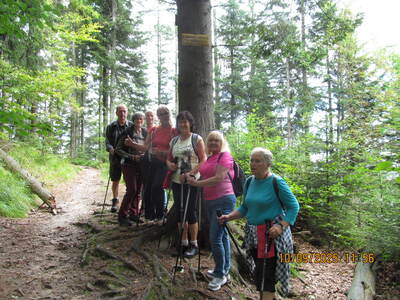 Spacer po Beskidzie Małym Klimoska - Potrójna. | 1