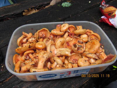 Spacer po Beskidzie Małym Rzyki Kaczyna Zagórnik 08 Październik 2025 r. | 7