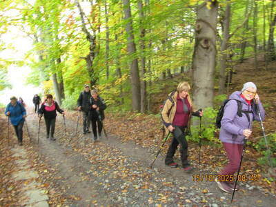 Wycieczka turystyczna -Żywiec Góra Grojec - Droga Krzyżowa | 24