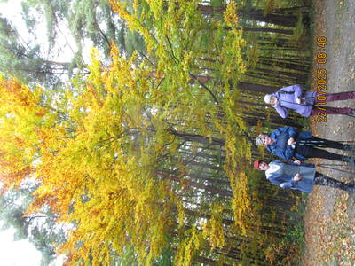 Wycieczka turystyczno - rekreacyjna Rzyki Gancarz Leskowiec 22 Pażdziernik 2025 r. | 15