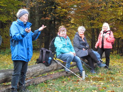 Wycieczka turystyczno - rekreacyjna Rzyki Gancarz Leskowiec 22 Pażdziernik 2025 r. | 11