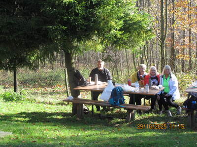 Spacer po Beskidzie Małym – Trzonka, 29 października 2025 r. | 7