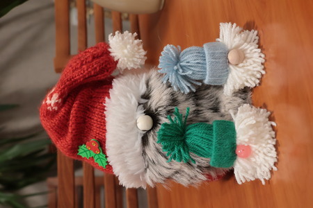 “Niezwykła, kontrowersyjna twórczość i osobowość Jarosława Iwaszkiewicza”  -  mgr K. Korbut-Pł | 50