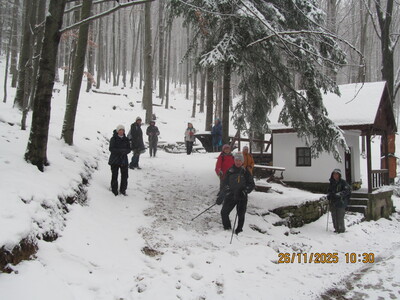 Trzonka, 26 listopada 2025 r.- wycieczka turystyczna | 10