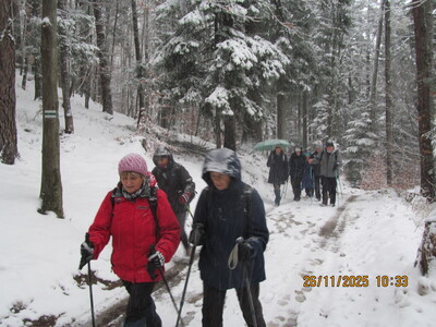 Trzonka, 26 listopada 2025 r.- wycieczka turystyczna | 4