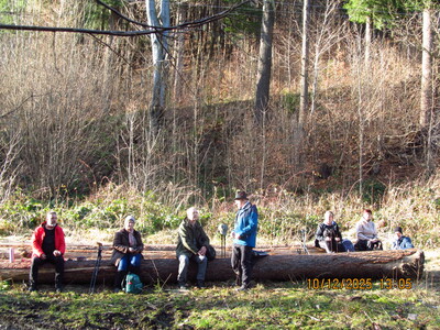 Dębowiec Zapora Wapiennica 10 Grudzień 2025 r. | 2