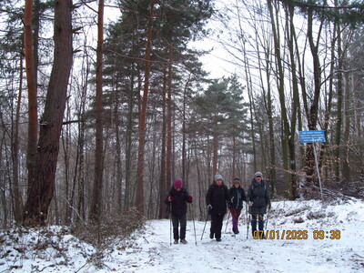 Spacer po Zagórniku – Ostry Wierch 07 stycznia 2026 r. | 7