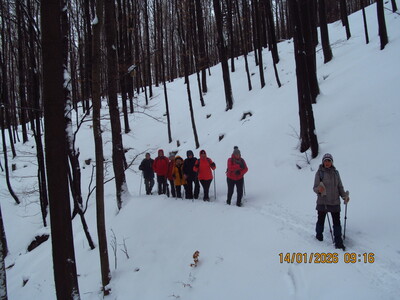 Spacer po Beskidzie Małym – Kocierz → Potrójna 14 stycznia 2026 r. | 3