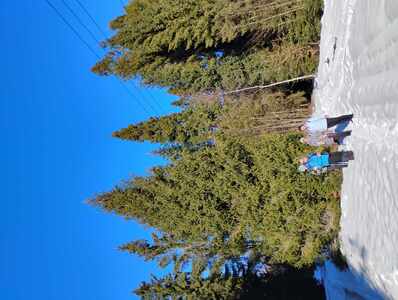 21 stycznia 2026 r.-Chatka Studencka pod Potrójną | 1