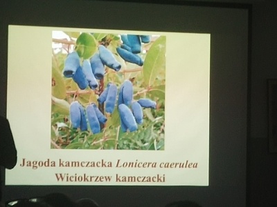 Wykład “Prozdrowotne fenole roślinne jako suplementy” | 4