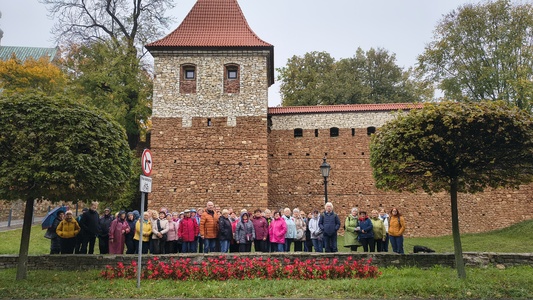 OLKUSZ - PUSTYNIA BŁĘDOWSKA - RABSZTYN - wycieczka autokarowa 14.10.2026 | 4