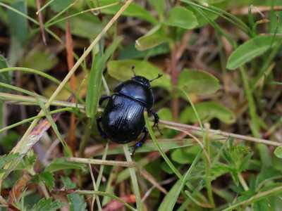 Piknik w Zubrzycy w dniu 10 czerwca 2023 r. | 5