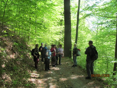 Kiczera 06 Maj 2026 r.-wycieczka środowa | 12