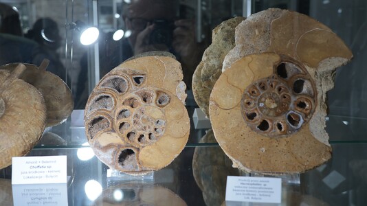 WYCIECZKA NA ZAMEK TENCZYN I DO ALWERNI | 4